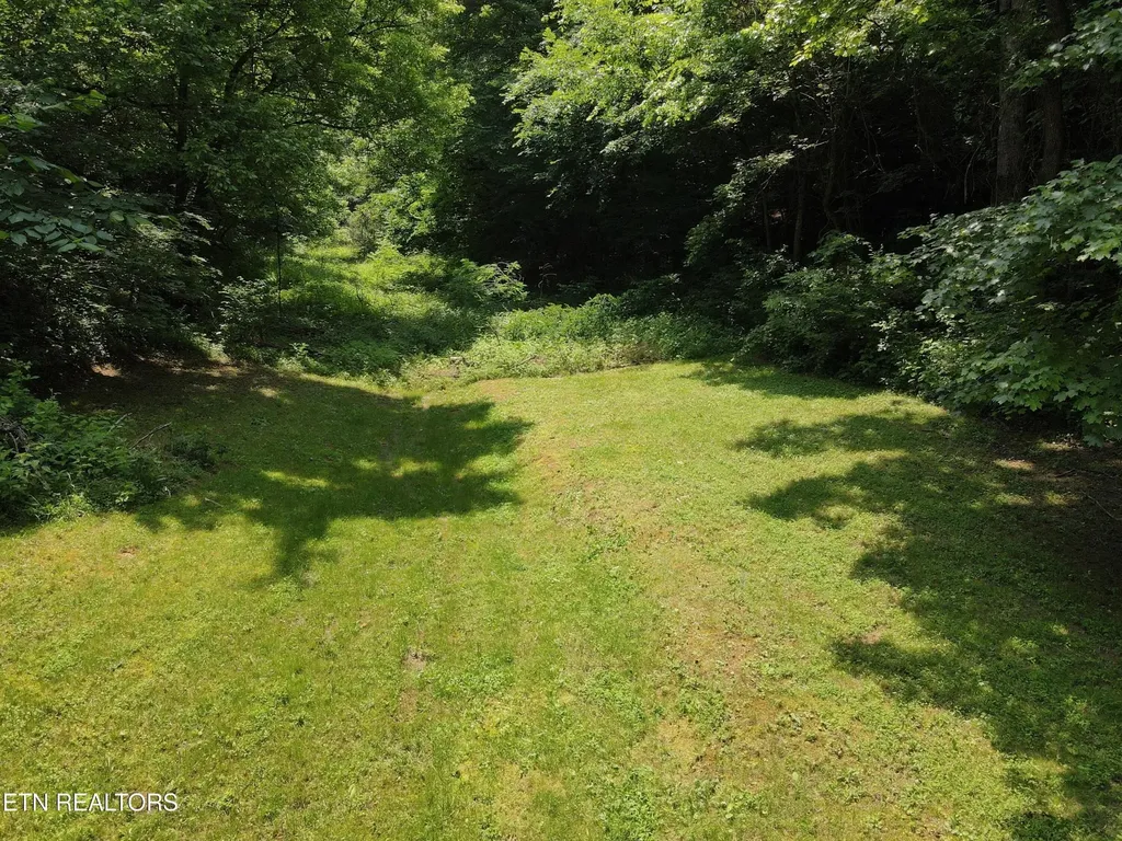453 Trentham Hollow Road Parrottsville TN 37843