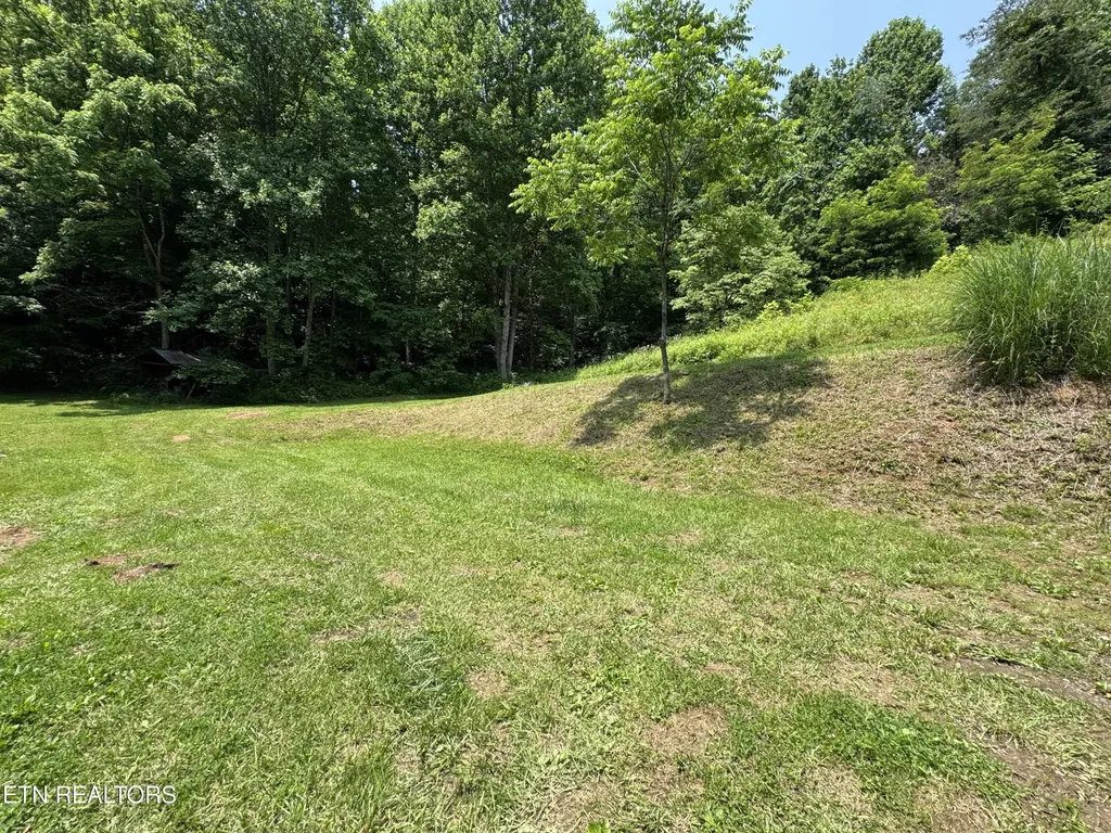 453 Trentham Hollow Road Parrottsville TN 37843