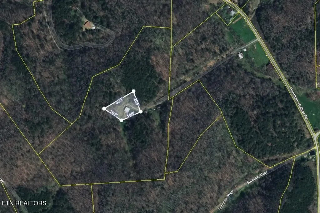 453 Trentham Hollow Road Parrottsville TN 37843