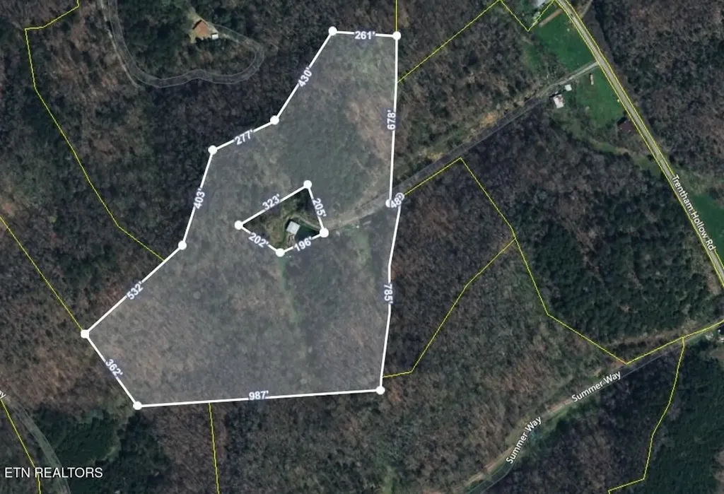 453 Trentham Hollow Road Parrottsville TN 37843