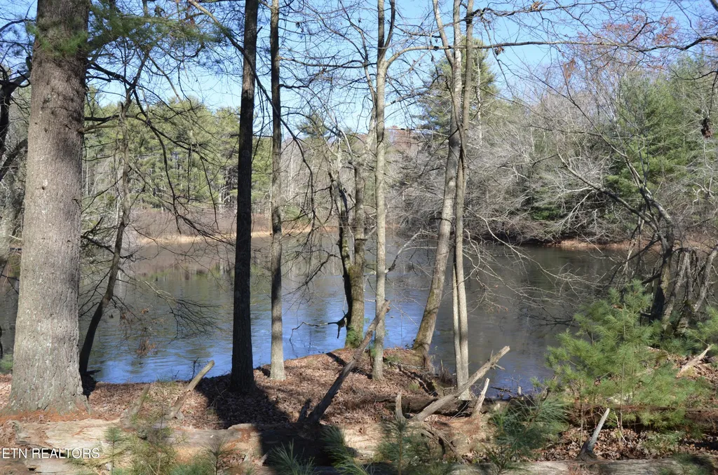 0 Sparta Hwy 63.3 Acres Crossville TN 38555
