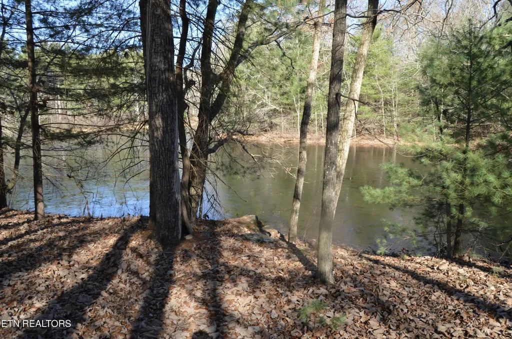 0 Sparta Hwy 63.3 Acres Crossville TN 38555