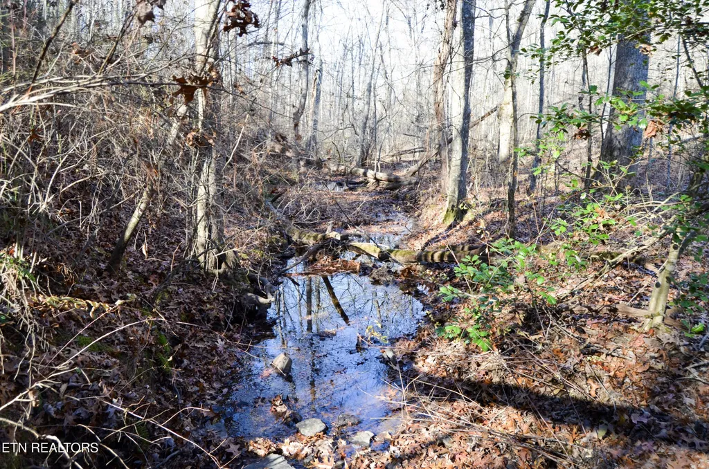 0 Sparta Hwy 63.3 Acres Crossville TN 38555