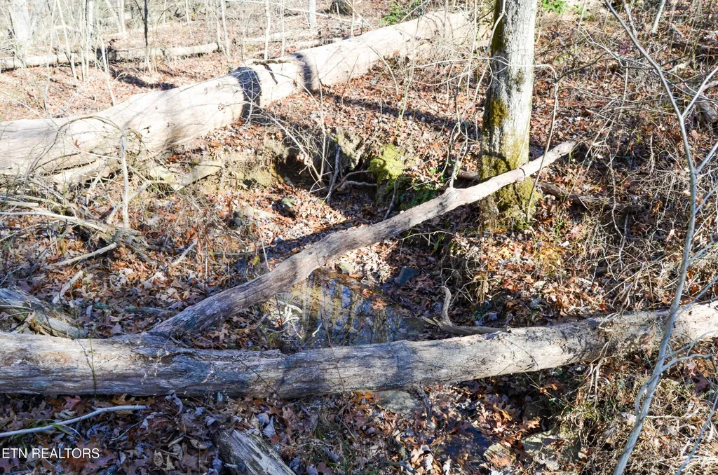 0 Sparta Hwy 63.3 Acres Crossville TN 38555