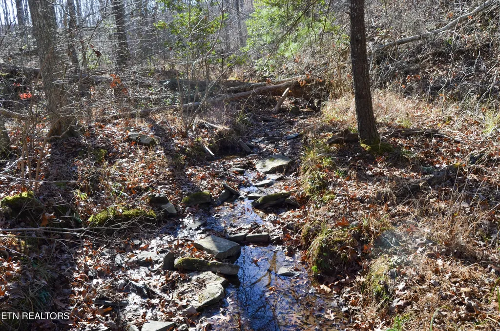 0 Sparta Hwy 63.3 Acres Crossville TN 38555