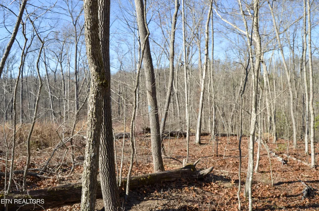 0 Sparta Hwy 63.3 Acres Crossville TN 38555