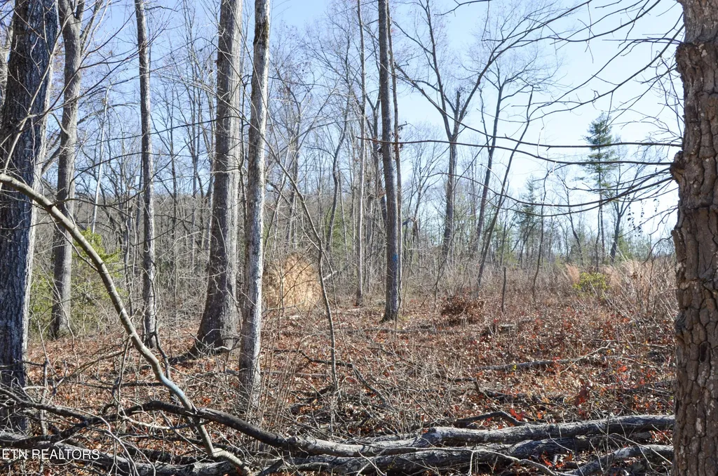 0 Sparta Hwy 63.3 Acres Crossville TN 38555