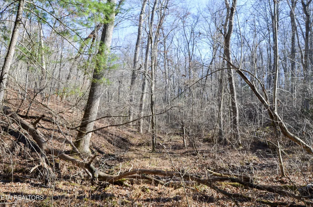0 Sparta Hwy 63.3 Acres Crossville TN 38555