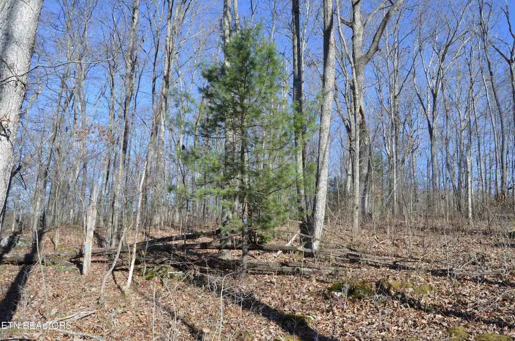 0 Sparta Hwy 63.3 Acres Crossville TN 38555