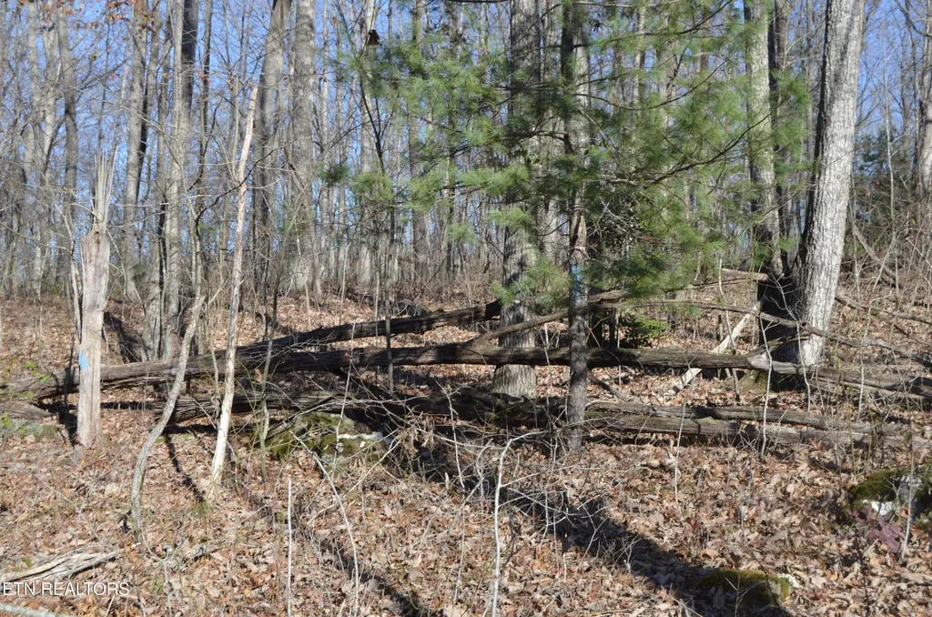 0 Sparta Hwy 63.3 Acres Crossville TN 38555
