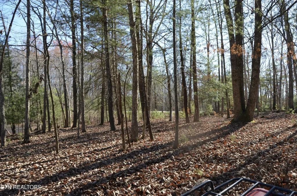 0 Sparta Hwy 63.3 Acres Crossville TN 38555