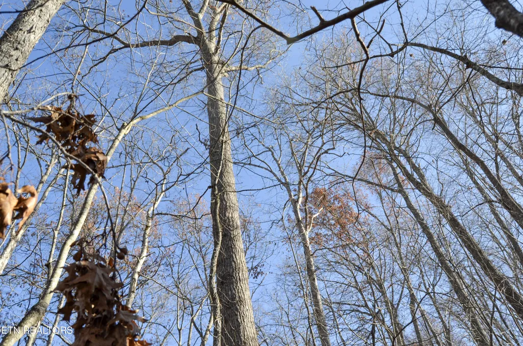 0 Sparta Hwy 63.3 Acres Crossville TN 38555