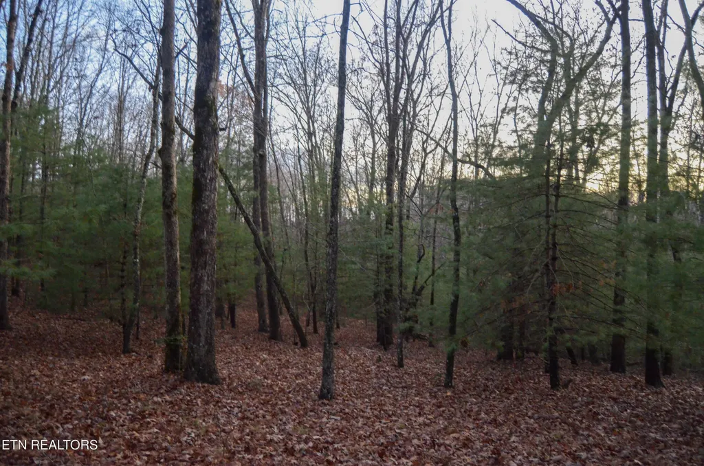 0 Sparta Hwy 63.3 Acres Crossville TN 38555