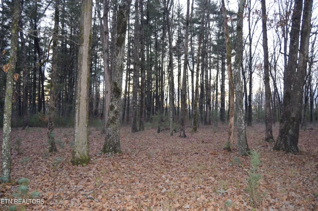 0 Sparta Hwy 63.3 Acres Crossville TN 38555
