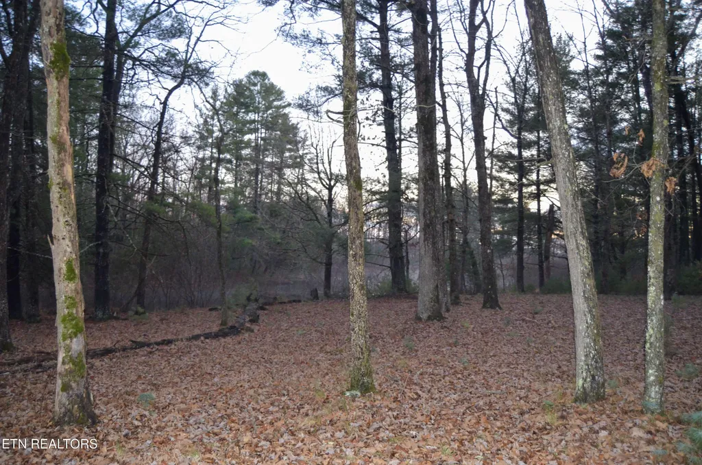 0 Sparta Hwy 63.3 Acres Crossville TN 38555