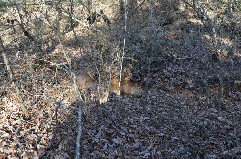 0 Sparta Hwy 63.3 Acres Crossville TN 38555