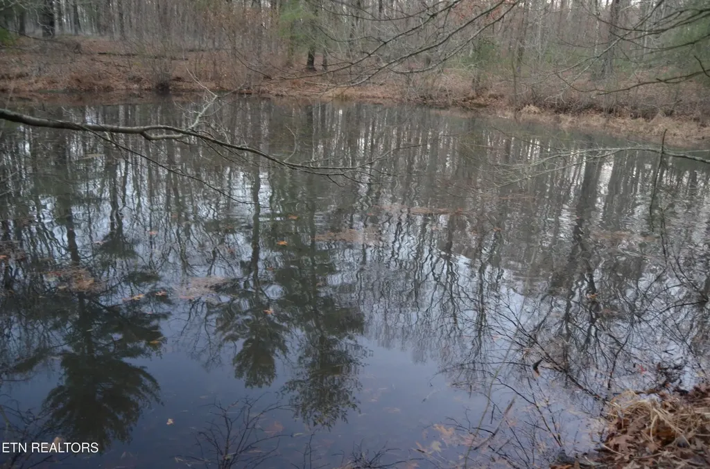 0 Sparta Hwy 63.3 Acres Crossville TN 38555