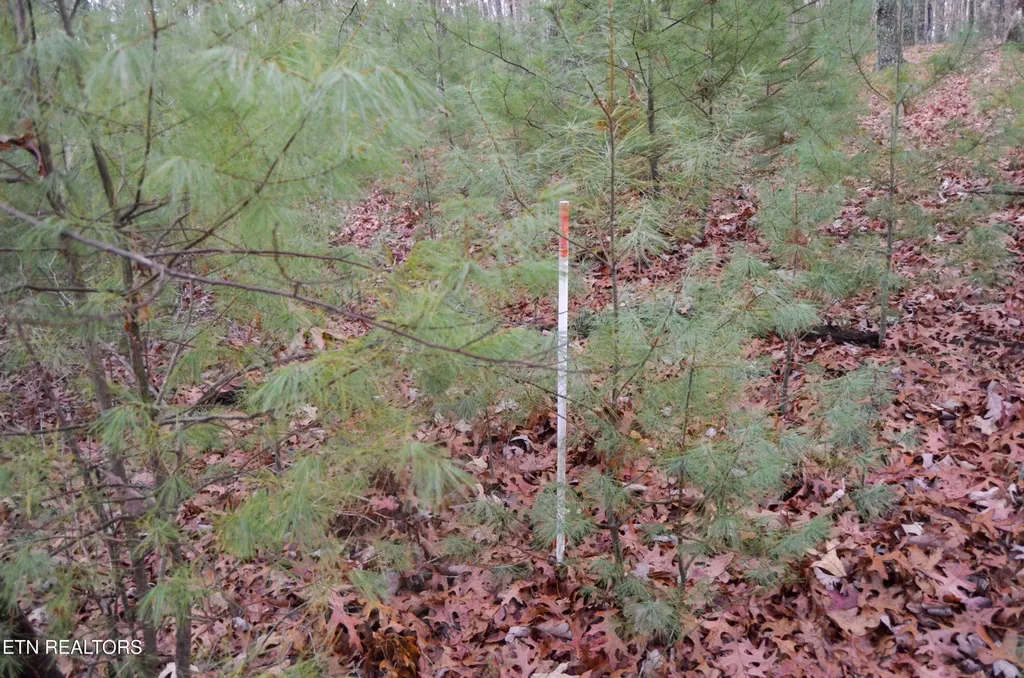 0 Sparta Hwy 63.3 Acres Crossville TN 38555