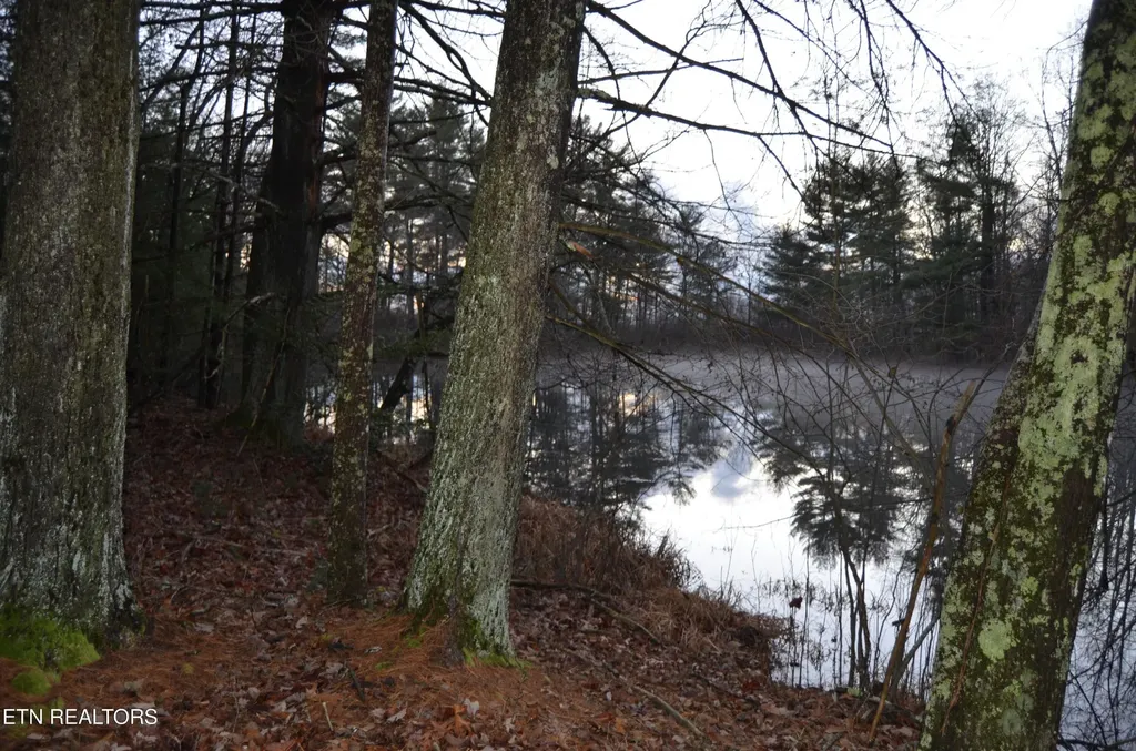 0 Sparta Hwy 63.3 Acres Crossville TN 38555