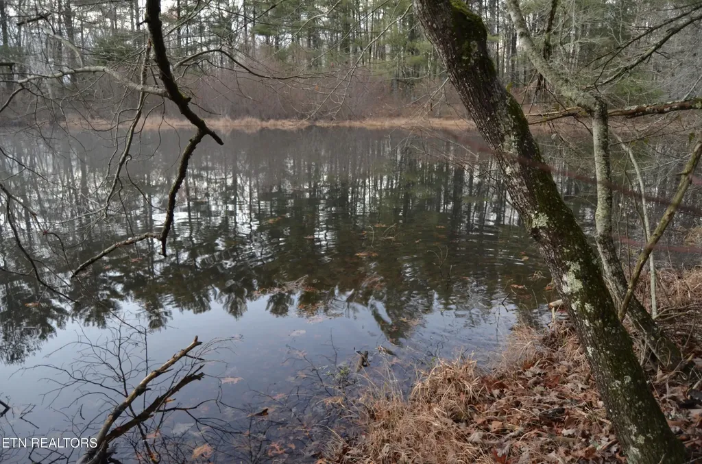 0 Sparta Hwy 63.3 Acres Crossville TN 38555