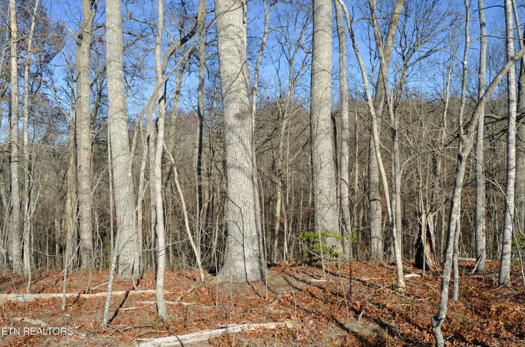 0 Sparta Hwy 31.65 +/- Acres Crossville TN 38555