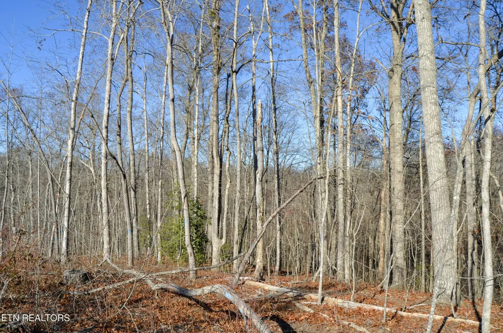 0 Sparta Hwy 31.65 +/- Acres Crossville TN 38555
