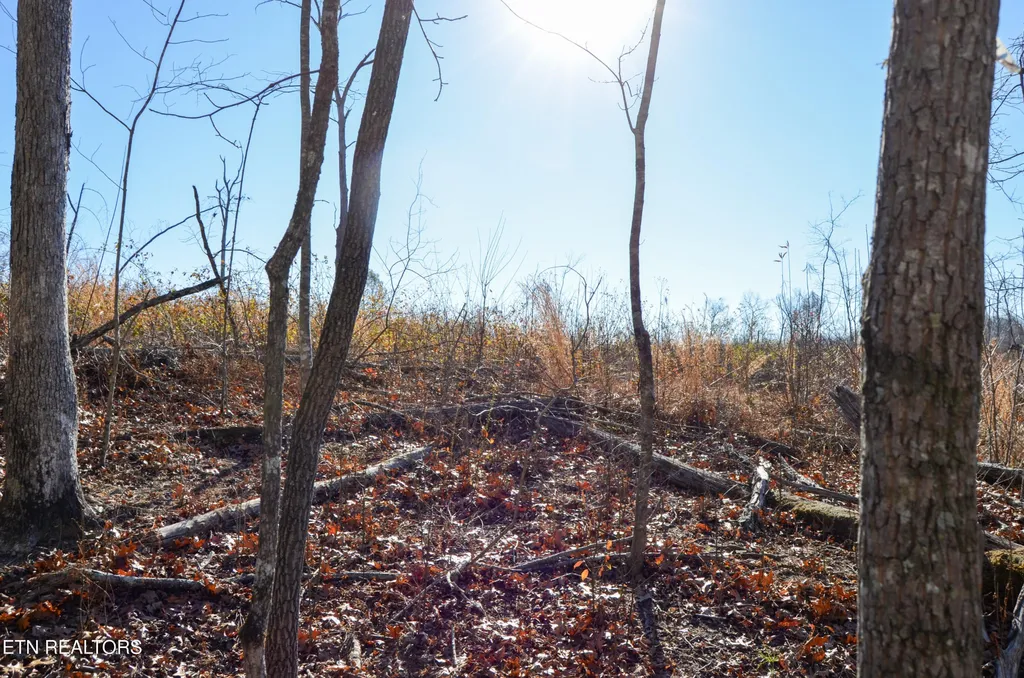 0 Sparta Hwy 31.65 +/- Acres Crossville TN 38555