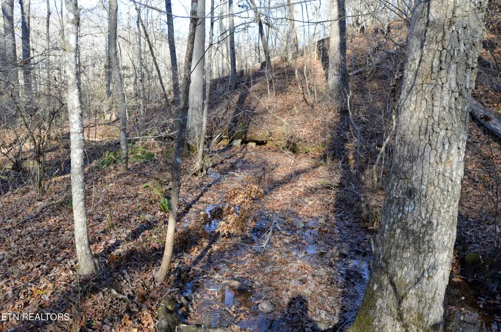 0 Sparta Hwy 31.65 +/- Acres Crossville TN 38555