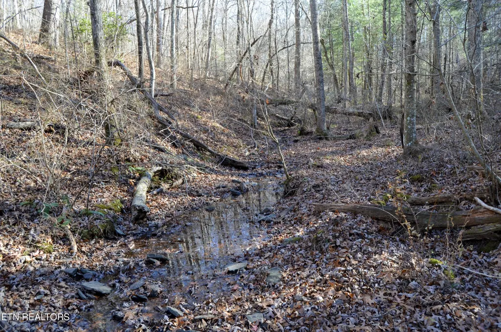0 Sparta Hwy 31.65 +/- Acres Crossville TN 38555