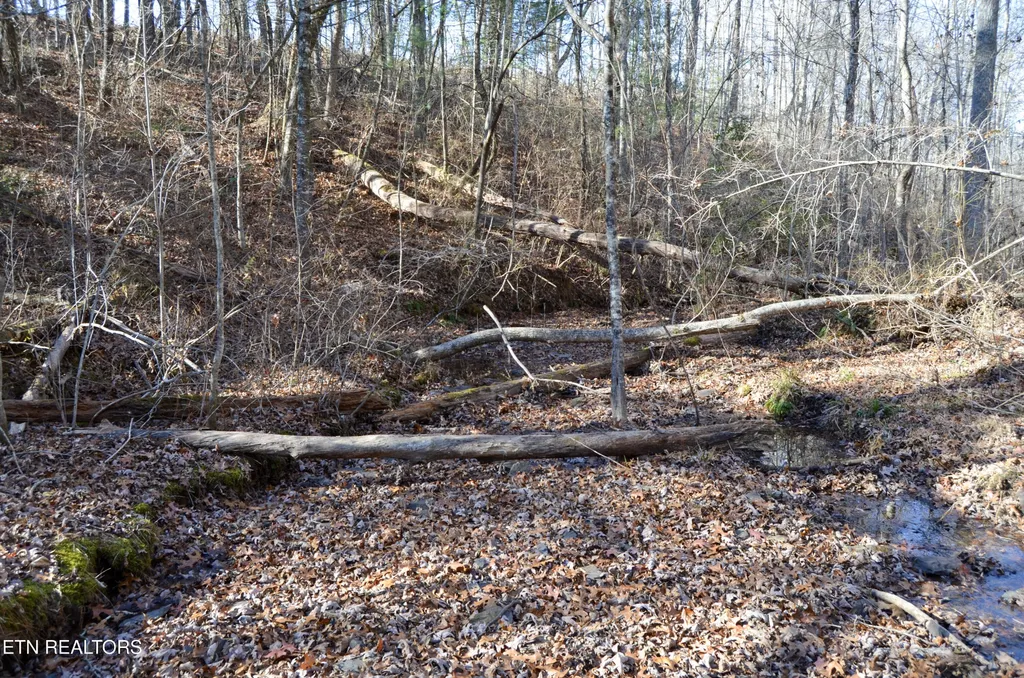 0 Sparta Hwy 31.65 +/- Acres Crossville TN 38555