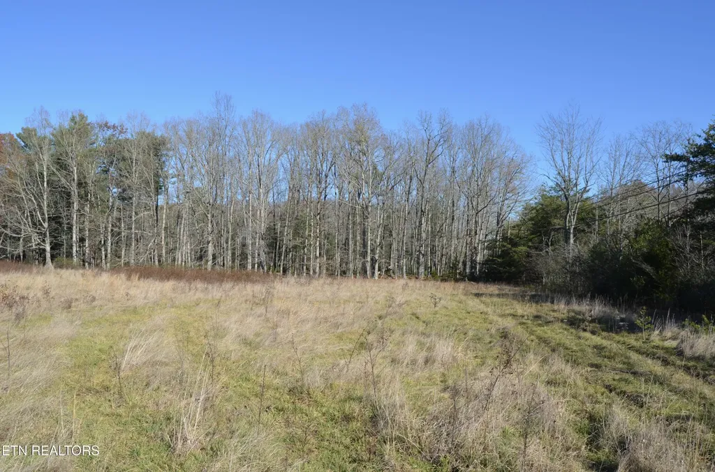 0 Sparta Hwy 31.65 +/- Acres Crossville TN 38555