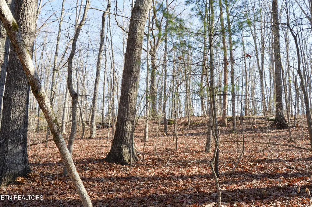 0 Sparta Hwy 31.65 +/- Acres Crossville TN 38555