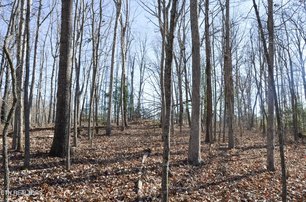 0 Sparta Hwy 31.65 +/- Acres Crossville TN 38555