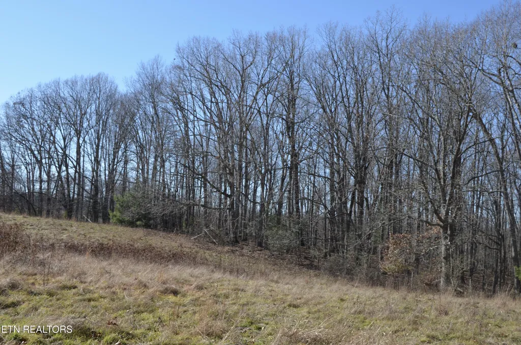 0 Sparta Hwy 31.65 +/- Acres Crossville TN 38555