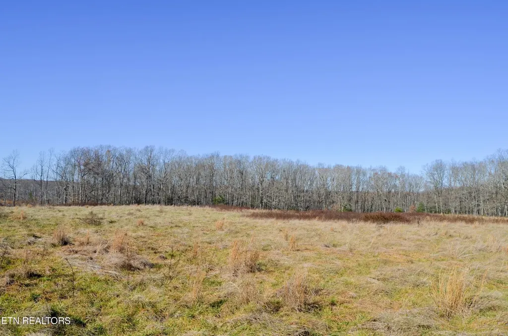 0 Sparta Hwy 31.65 +/- Acres Crossville TN 38555