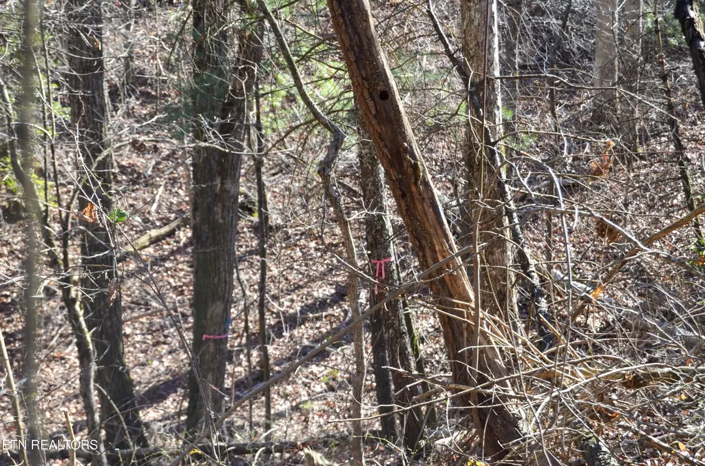 0 Sparta Hwy 31.65 +/- Acres Crossville TN 38555