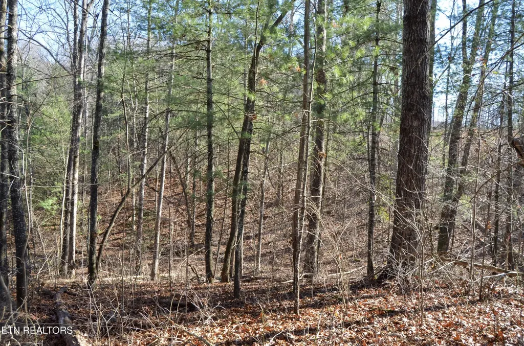 0 Sparta Hwy 31.65 +/- Acres Crossville TN 38555