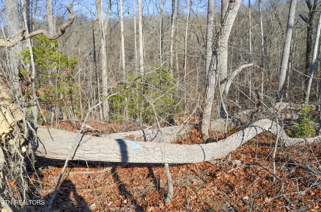 0 Sparta Hwy 31.65 +/- Acres Crossville TN 38555