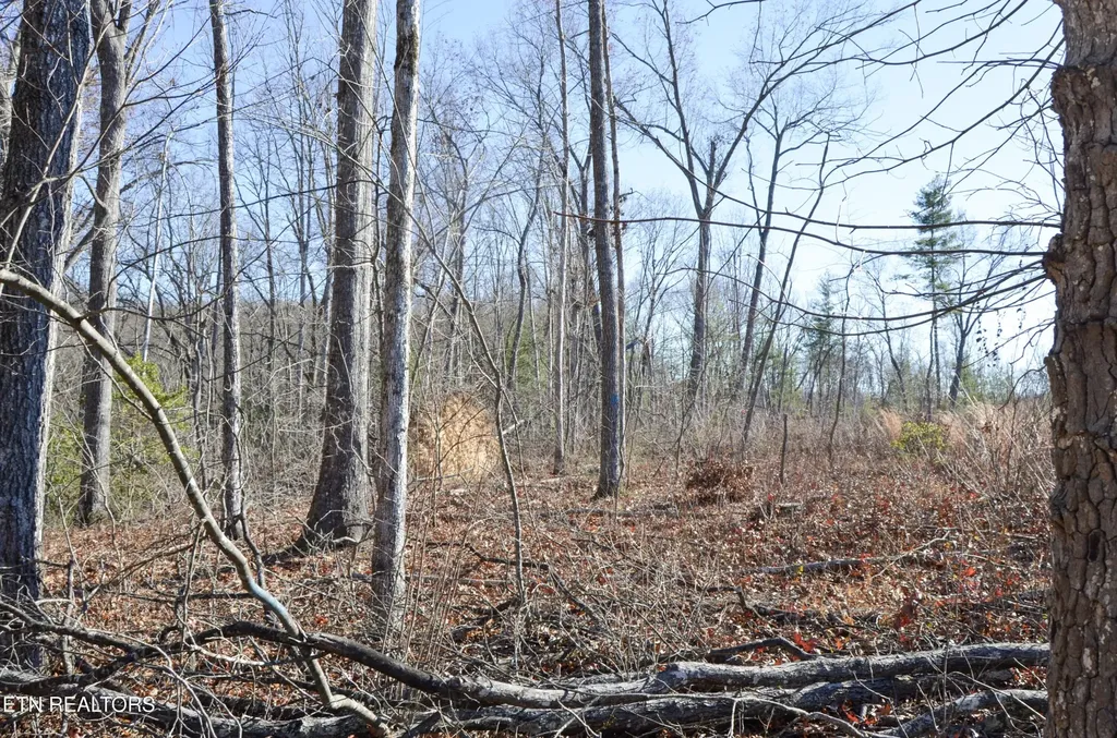 0 Sparta Hwy 31.65 +/- Acres Crossville TN 38555