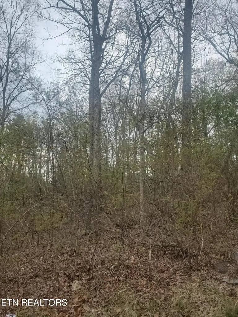 8646 Cherokee Trail Crossville TN 38572