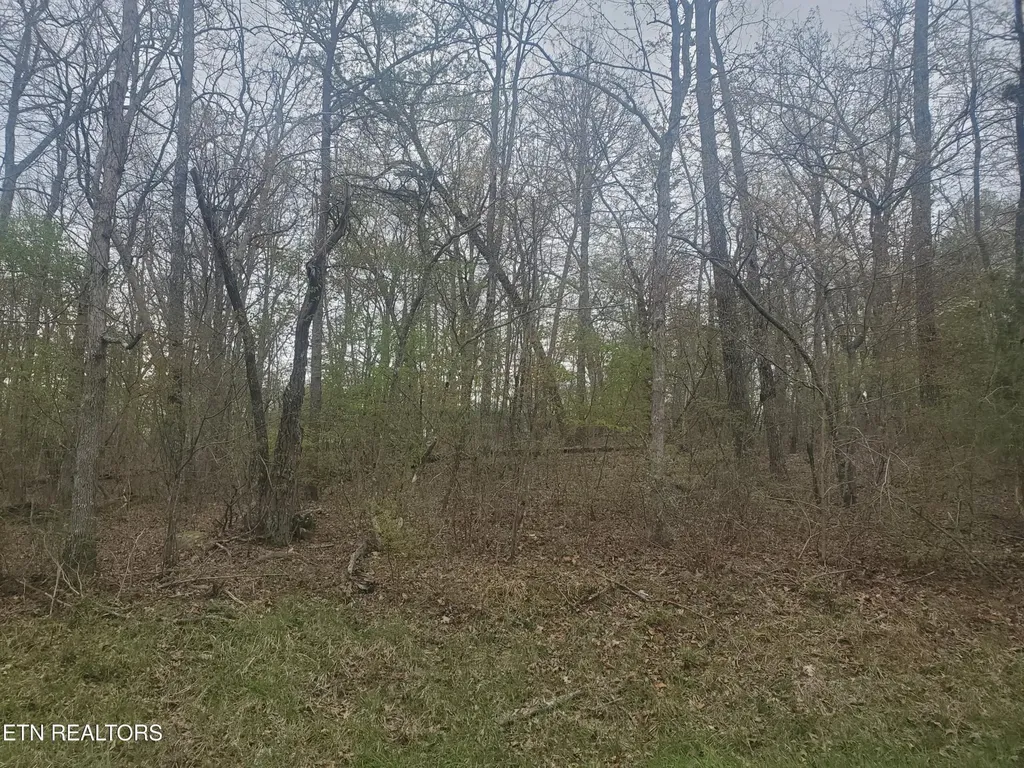 8646 Cherokee Trail Crossville TN 38572