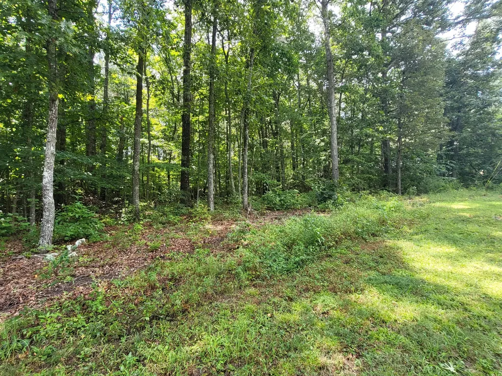 207 Saint George Drive Crossville TN 38558