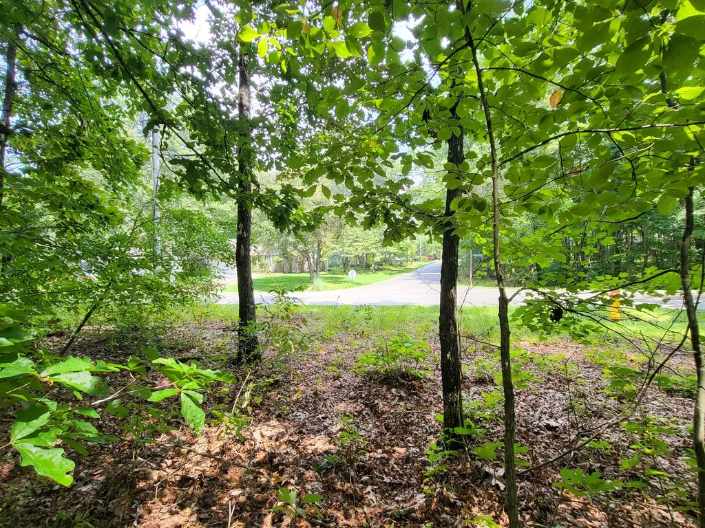 207 Saint George Drive Crossville TN 38558