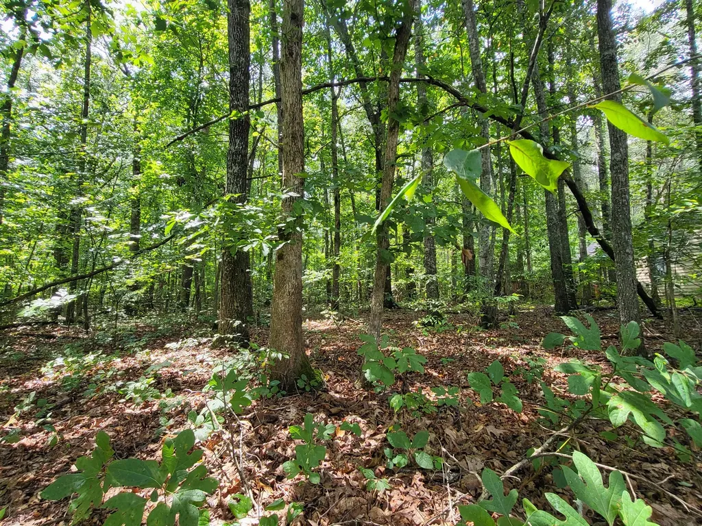 207 Saint George Drive Crossville TN 38558