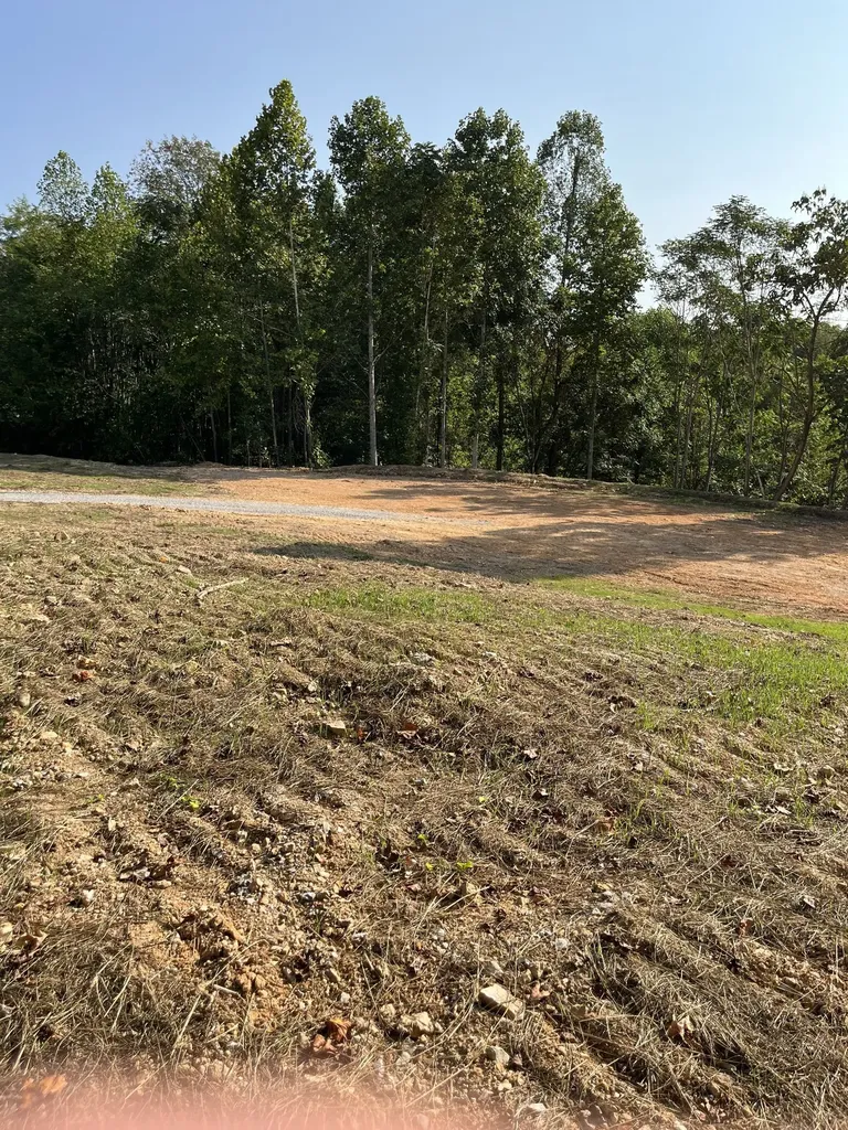0 Highway 56 Silver Point TN 38582