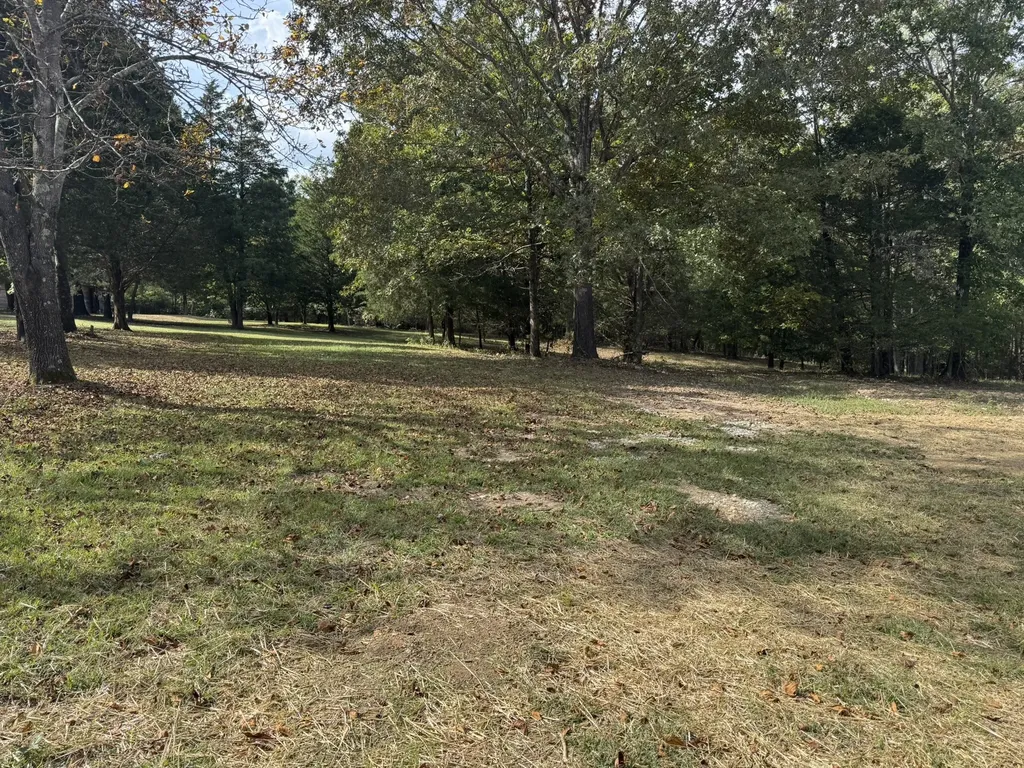 10045 Buckner Ridge Road Bon Aqua TN 37025