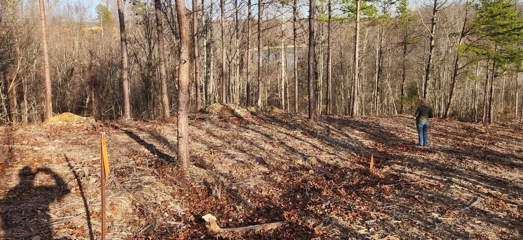 1 Antler Drive Smithville TN 37166