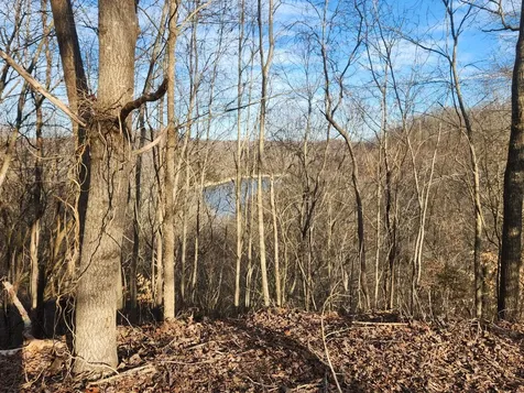 1 Antler Drive Smithville TN 37166