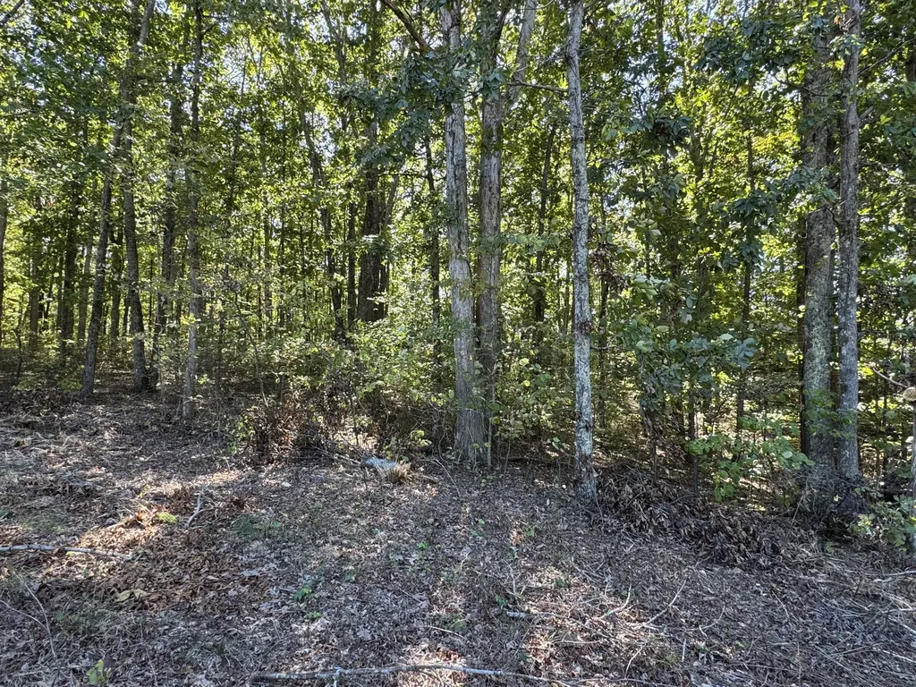 0 Highway 100 Centerville TN 37033