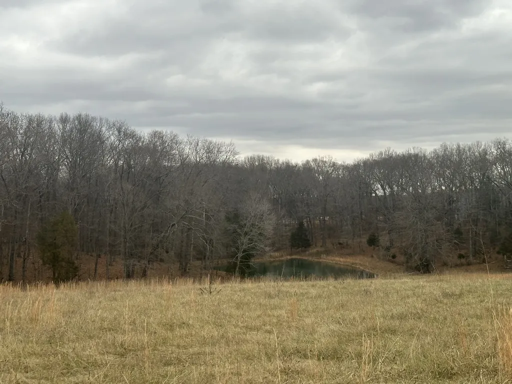 1 Myatt Loop Burns TN 37029